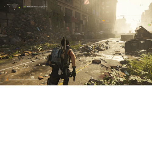 The Division 2 (Limited Edition/PS4)