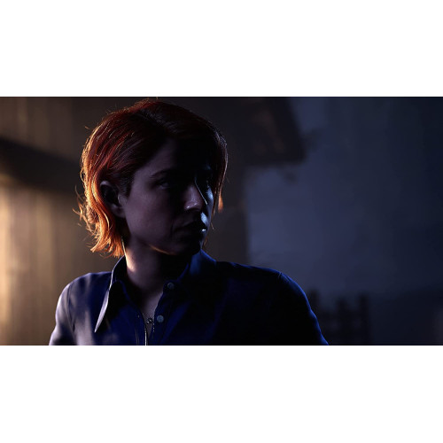 The Dark Pictures Anthology: The Devil in Me [PS4/PS5]]