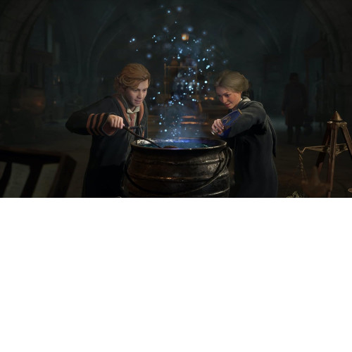 Hogwarts Legacy [PS4] (Kasutatud)