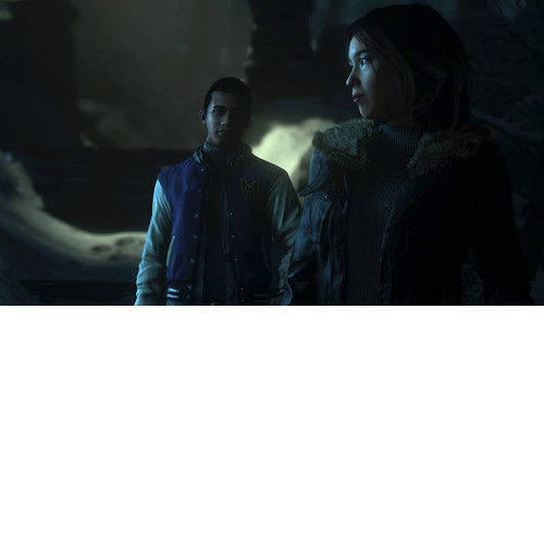 Until Dawn [PS4]