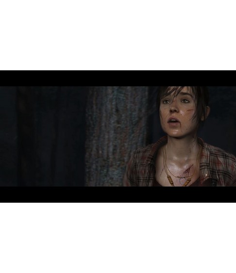 The Heavy Rain & Beyond: Two Souls - Collection [PS4] 