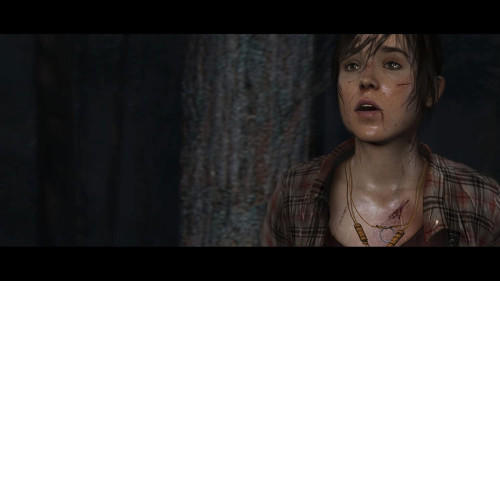 Heavy Rain and Beyond Two Souls Collection (PS4)
