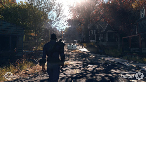 Fallout 76 [PS4]