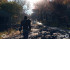Fallout 76 [PS4]