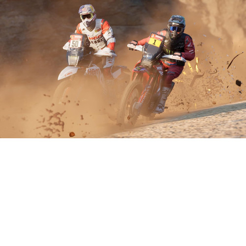 Dakar Desert Rally [PS4]
