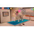 Animal Hospital (PS5)
