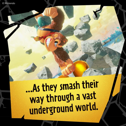 Donkey Kong Bananza [Switch 2]