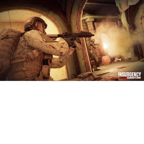 Insurgency: Sandstorm [XBox One/Series X]