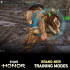 For Honor Gold Edition [PS4] Kasutatud
