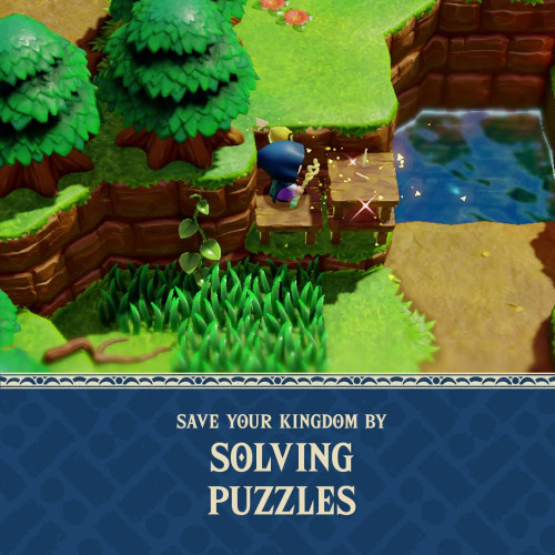 The Legend of Zelda: Echoes of Wisdom Switch