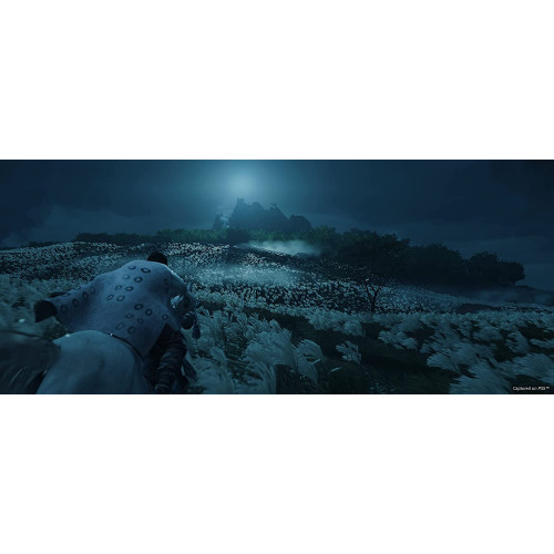 Ghost of Tsushima Director's Cut PS4
