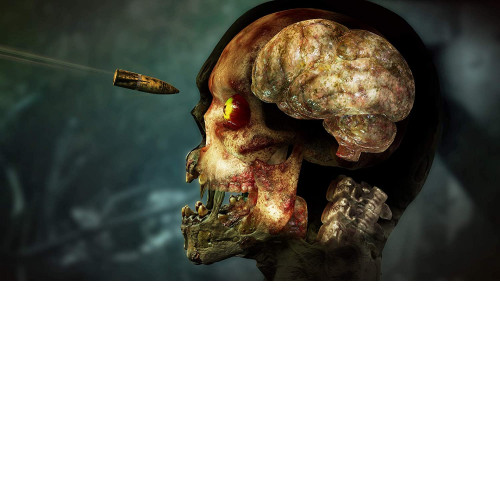 Zombie Army 4 Dead War PS4