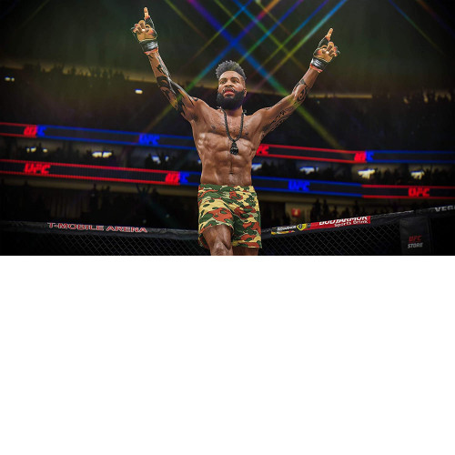 UFC 4 PS4