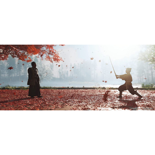 Ghost of Tsushima Director's Cut PS4