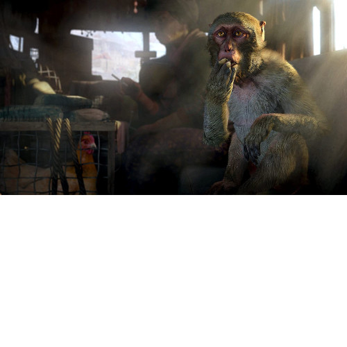 Far Cry 4 [PS4]