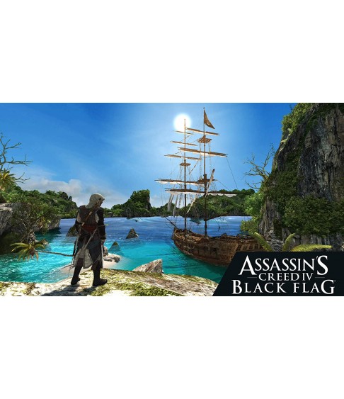 Assassin's Creed: Assassin's Creed: Black Flag + Rogue Русская версия (Switch) 