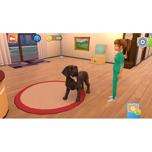 Animal Hospital (PS5)