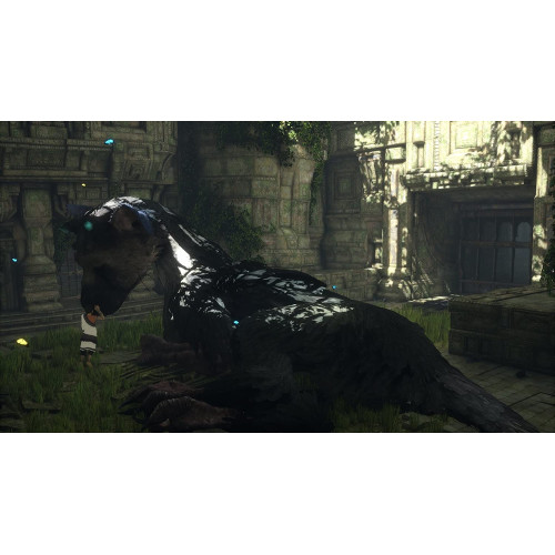 The Last Guardian [PS4]