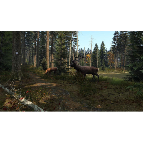 DayZ [PS4]