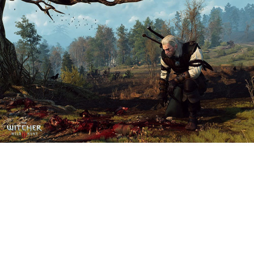 The Witcher III (3): Wild Hunt (Game of The Year Edition) Xbox Series X