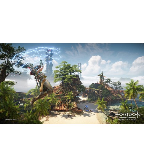 Horizon Forbidden West PS4 eeltellimisel