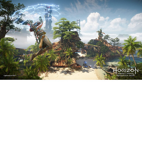 Horizon Forbidden West PS4/PS5