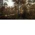 Chernobylite PS4 Kasutatud