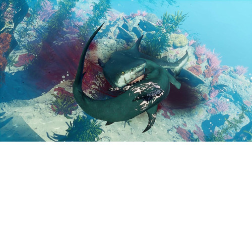 Maneater [PS5]