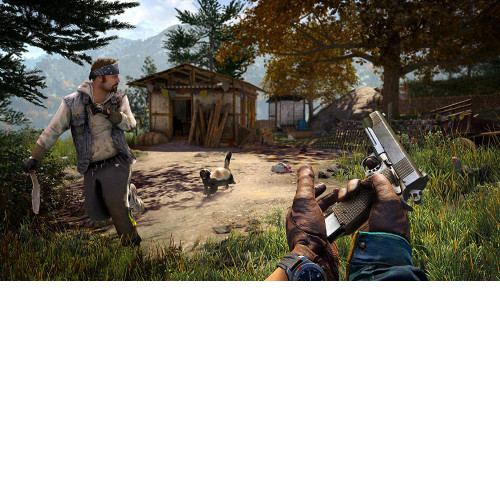 Far Cry 4 [PS4]