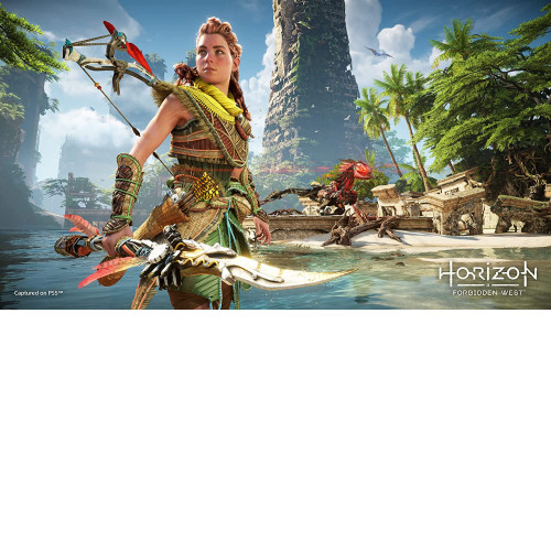 Horizon Forbidden West PS4/PS5
