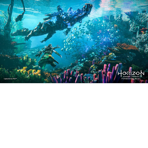 Horizon Forbidden West PS4/PS5