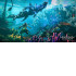 Horizon Forbidden West (Complete Edition) PS5