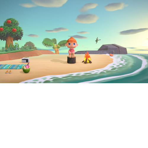 Animal Crossing: New Horizons Switch