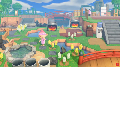 Animal Crossing: New Horizons Switch