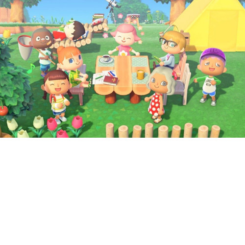 Animal Crossing: New Horizons Switch