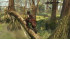 Assassin's Creed III + Liberation Remastered Switch