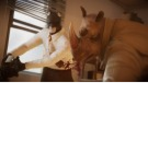 Blacksad: Under the Skin Switch