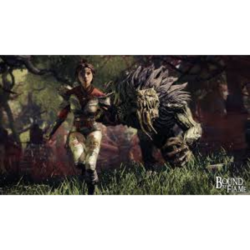 Bound by Flame PS4
