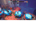 Crash Team Rumble - Deluxe Edition [Xbox One/Series X]