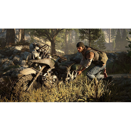 Days Gone PS4 Kasutatud