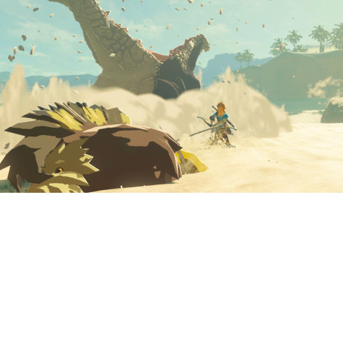 The Legend of Zelda: Breath of the Wild Switch