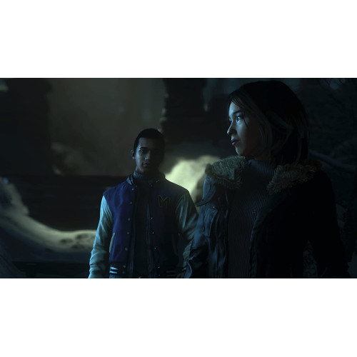 Until Dawn (PS4)