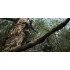 Metal Gear Solid Δ: Snake Eater - Day One Edition PS5