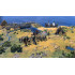 Sid Meier's Civilization VII [Switch]