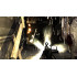 F.E.A.R. First Encounter Assault Recon [PS3] Kasutatud