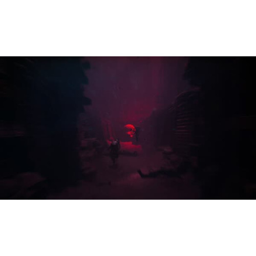 REANIMAL [Switch 2] Eeltellimus